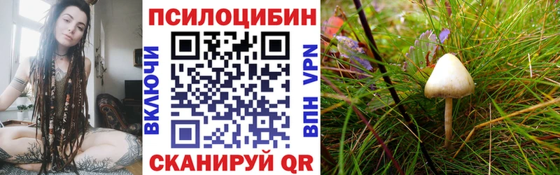 Галлюциногенные грибы Magic Shrooms  KRAKEN ТОР  Туринск 