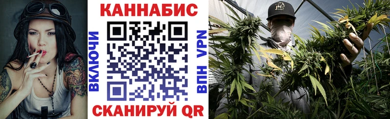 Бошки марихуана планчик  Туринск 